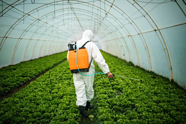 Best Pest Removal Services  in La Grange, NC