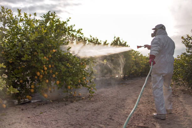 Best Pest Control Near Me  in La Grange, NC
