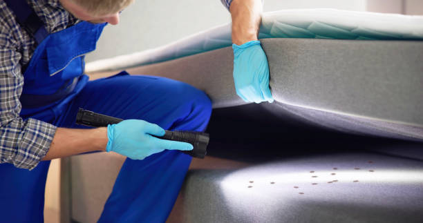 Best Wasp Removal Services  in La Grange, NC