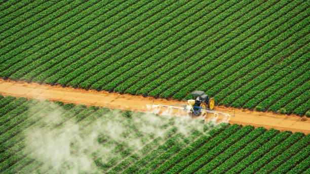 Reliable La Grange, NC Pest Control Solutions