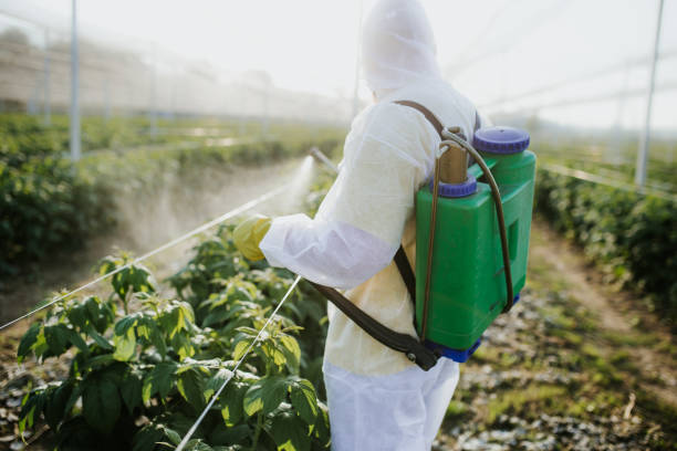 Best Ant Control Services  in La Grange, NC